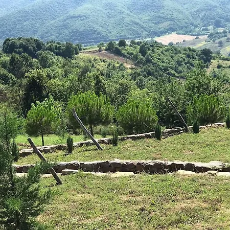 Willa Perfect Natural Retreat With Large Pool