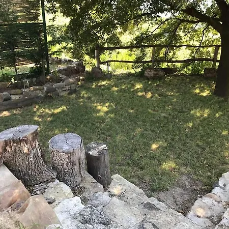 Perfect Natural Retreat With Large Pool Willa
