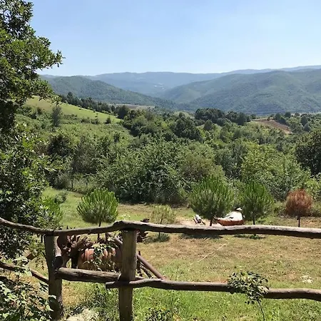 Perfect Natural Retreat With Large Pool *