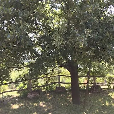 Perfect Natural Retreat With Large Pool * Yalova (Yalova)