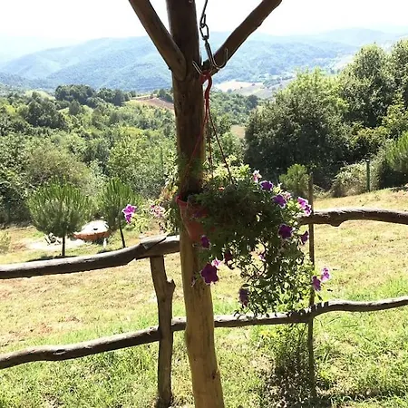 Willa Perfect Natural Retreat With Large Pool *